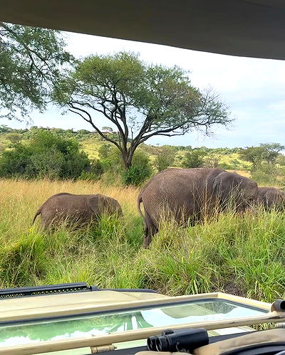 sydney_sweeney sydney_sweeney archive video