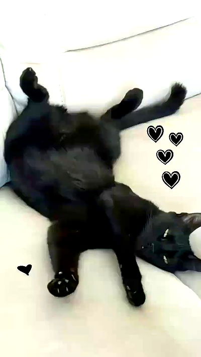 shayli_or shayli_or archive video