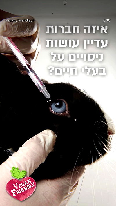 feelbetterinmysweater feelbetterinmysweater archive video