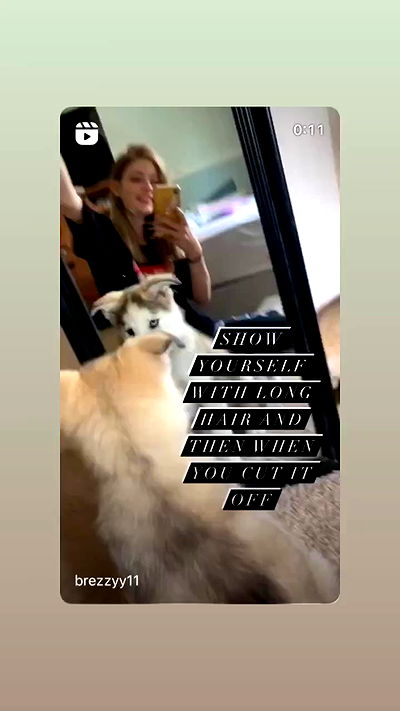 _animechika_ _animechika_ archive video