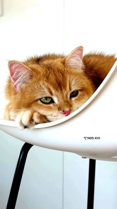 itsilanosh itsilanosh archive video