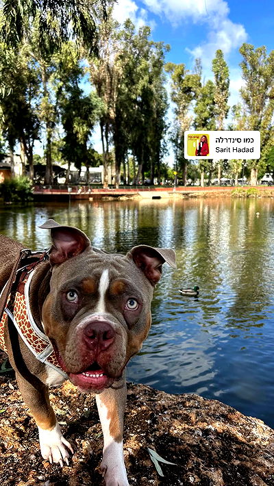 kesemgreenyer kesemgreenyer archive video