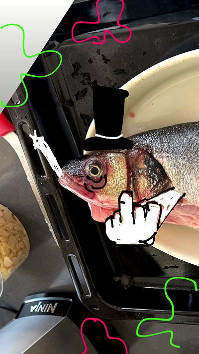 iambohema.v2 iambohema.v2 archive video