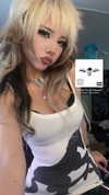 catastoo Altpins Profile Picture