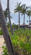 tohar.harosh Altpins Profile Picture