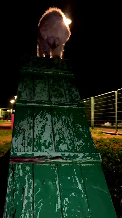 feelbetterinmysweater feelbetterinmysweater archive video