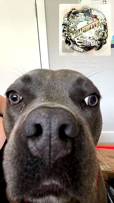 romy_ayalla_lavi romy_ayalla_lavi archive video