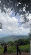 lior_lotati Altpins Profile Picture