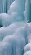 sonya_fisher_ Altpins Profile Picture