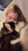 willowwbarbie Altpins Profile Picture