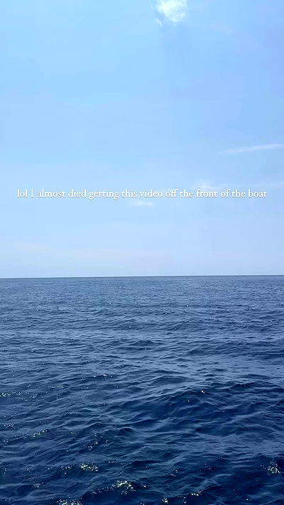 carolinezalog carolinezalog archive video