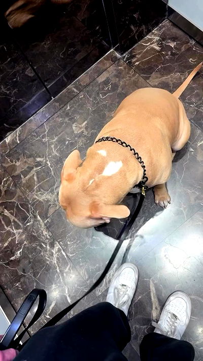 yannaidebeer yannaidebeer archive video