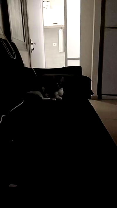 moonyyyya moonyyyya archive video