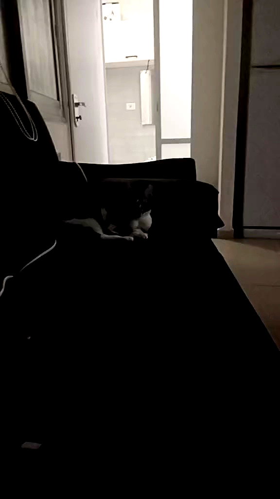 moonyyyya archive video preview