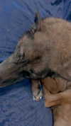 emily_new2 Altpins Profile Picture