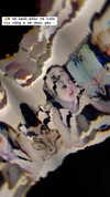 zunxingnhat Altpins Profile Picture