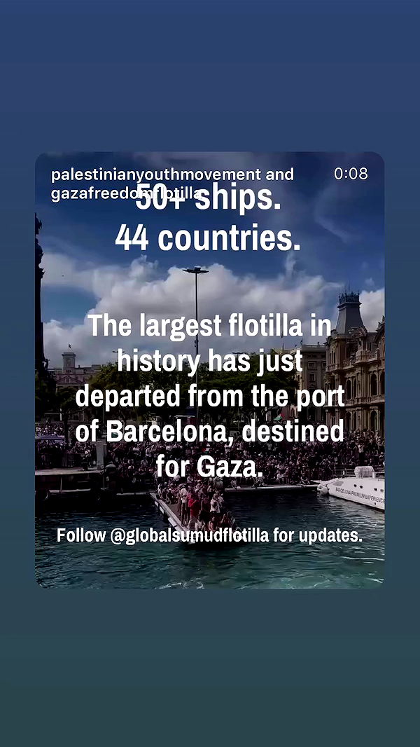 kittynacre archive video preview