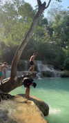 mai_glazer Altpins Profile Picture