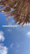sonia_litvanchuk Altpins Profile Picture