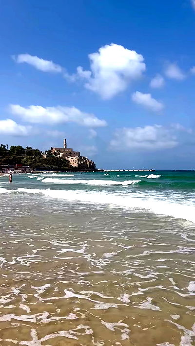 yam_adler yam_adler archive video