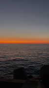 lital.oss Altpins Profile Picture