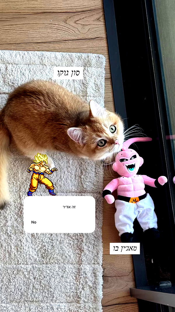 itsilanosh archive video preview