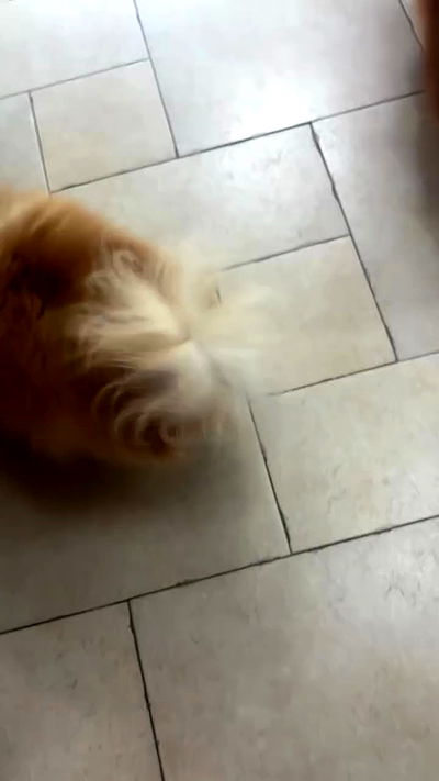 nicole.shpo nicole.shpo archive video