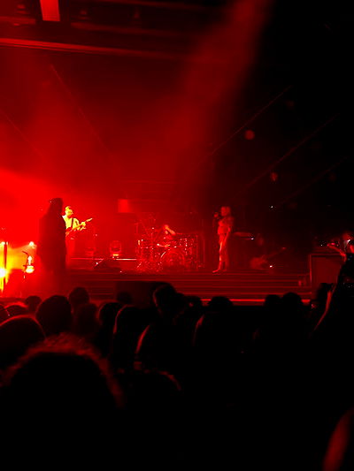 edin.karyn edin.karyn archive video