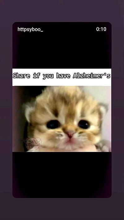 daniella_koosit daniella_koosit archive video