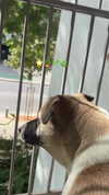 avitalll._ Altpins Profile Picture