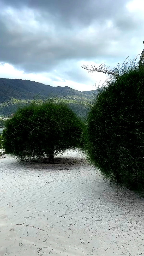 alineborinsky archive video preview