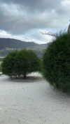 alineborinsky Altpins Profile Picture
