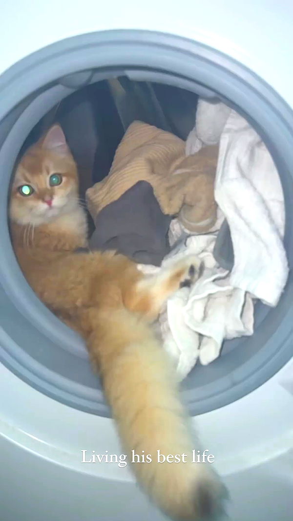 itsilanosh archive video preview