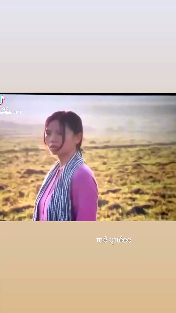 suadaunanh_ne archive video preview
