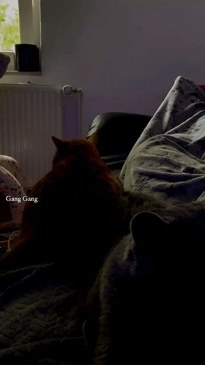 yoo.mon yoo.mon archive video