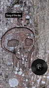 zz.eazoning Altpins Profile Picture