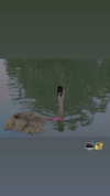 addisonraee Altpins Profile Picture