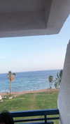 diana_polin Altpins Profile Picture