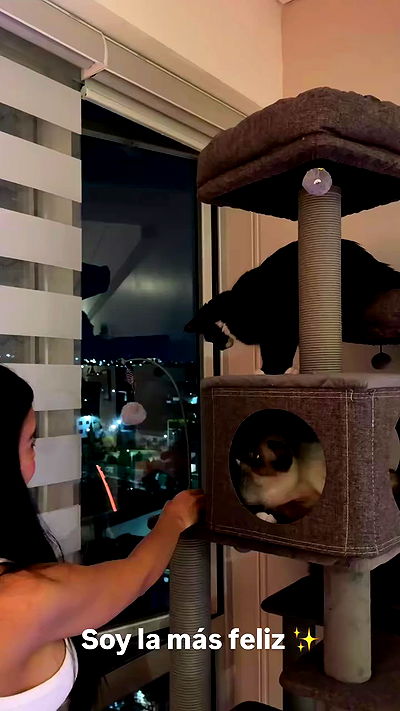 lapatronaz lapatronaz archive video