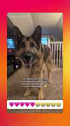 emily_new2 Altpins Profile Picture