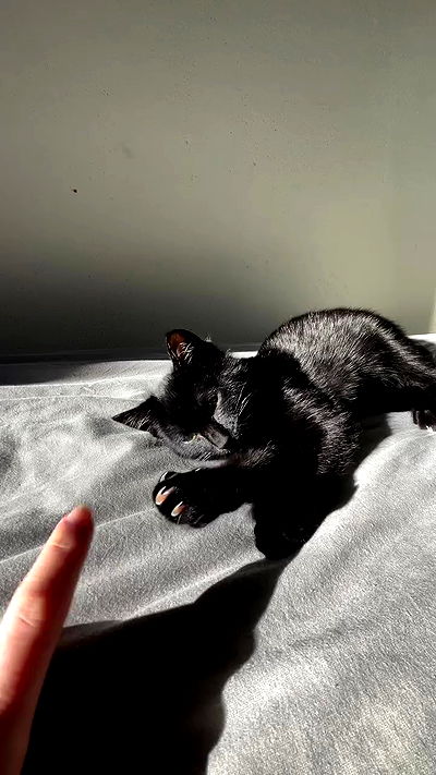 aekamee aekamee archive video