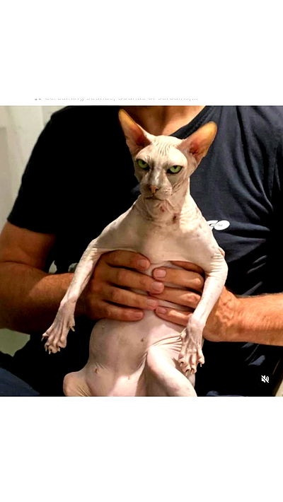 yuri.gever yuri.gever archive video