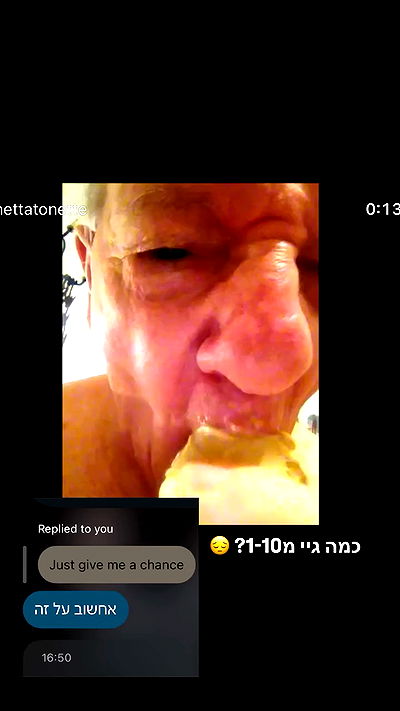 tuliprivet tuliprivet archive video