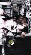 m1kalc Altpins Profile Picture