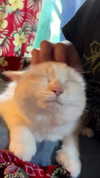 newpoort Altpins Profile Picture