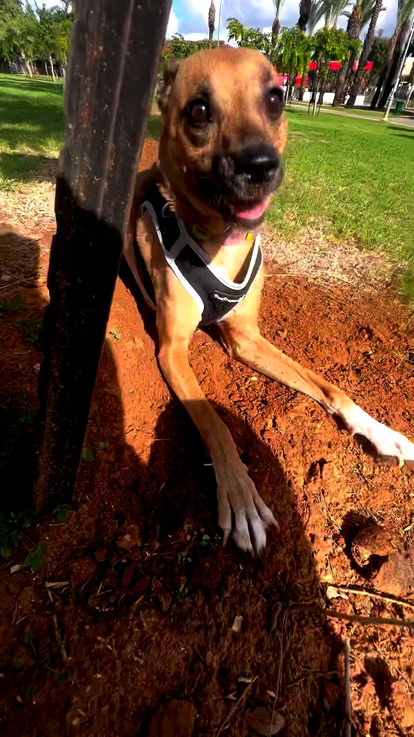 yulialam__ archive video preview