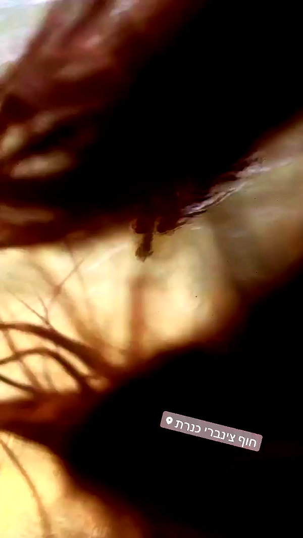 siel_pinto archive video preview