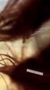 siel_pinto Altpins Profile Picture