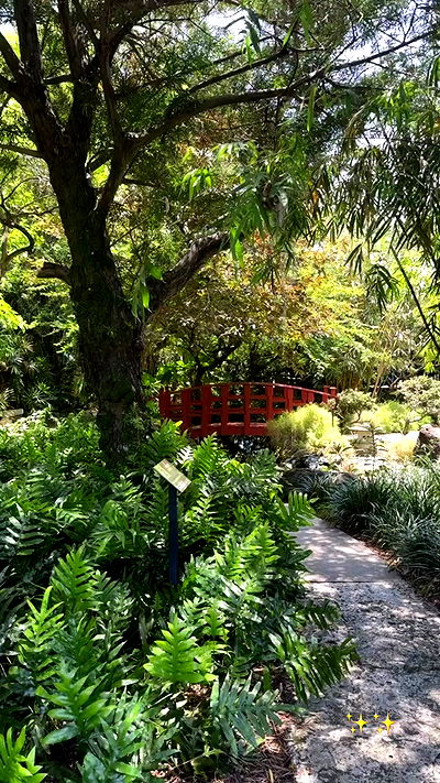 biton__adi biton__adi archive video