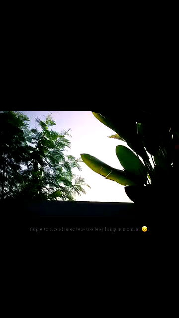 yemada yemada archive video